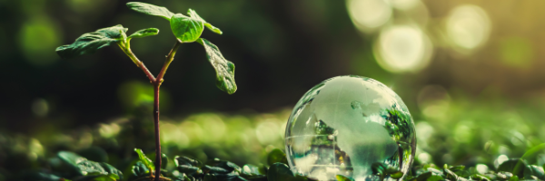 Eco-Conscious Procurement in a plastic-driven healthcare