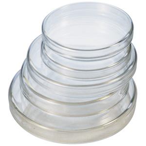 Livingstone Petri Dish