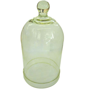 Lincon Bell Jar with Knob, 200 x 300(H) mm, Borosilicate Glass, Clear, Each Each