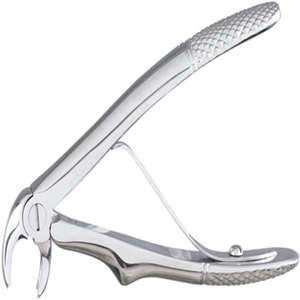 Livingstone Dental Extracting Forceps