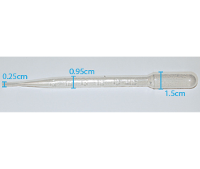 PTP03_20120222141447753