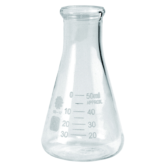 Livingstone Erlenmeyer Conical Flask