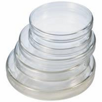 Livingstone Petri Dish, 90 Diameter x 18 Height mm, with Lid, Borosilicate Glass, 10 Pieces/Pack Pack