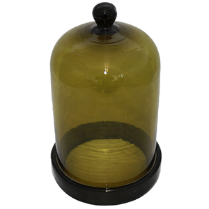 Livingstone Bell Jar With Knob