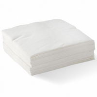 LivEco Dinner 1/4 Fold Serviette Napkins, 2-Ply, 40 x 40cm, White 100 Sheets/Pack, 1000 Sheets/Carton