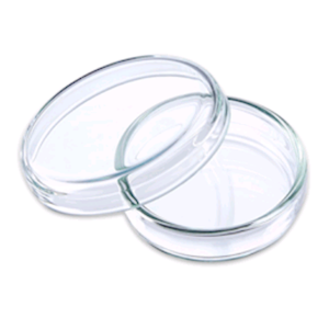 European Petri Dish with Lid, 100 x 15(H) mm, Neutral Glass, 18 Pieces/Box Box