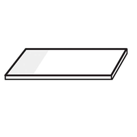 Livingstone Microscope Glass Slide