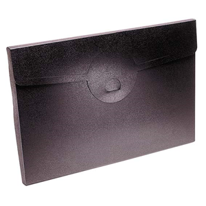 DOCUMENT FILE POLYPROPYLENE EACH Each