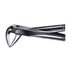 Adler Dental Extracting Forceps