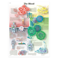 Poly Laminated Biological Chart
