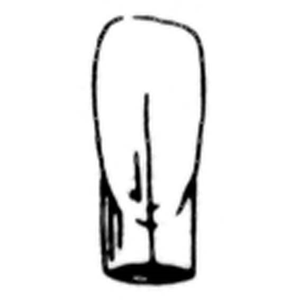 CAULK TYPE CROWNS E5 (CW53) 5/PK Pack