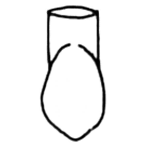 FRASACO TYPE CROWNS 331 5/PK Pack