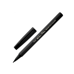 Pilot Sign Pens Swn-spn 0.6mm Black 12/Box Box