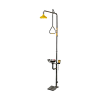 Speakman Combination Shower, with Aerated Eye and Face Wash, with Headbar, with Stainless Steel Bowl, Each Each