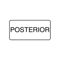 "POSTERIOR" - X-RAY LABEL 500/BOX Box