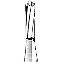 Kerr Jet 1156 Tungsten Carbide Burs