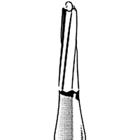 Kerr Jet 1172 Tungsten Carbide Burs