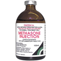 Methasone Inj 100ml Each