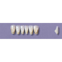 MYERSON ANTERIORS #11/H (1x6 CARD) Card