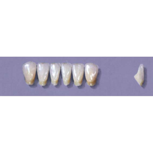 MYERSON ANTERIORS #12/F (1x6 CARD) Card