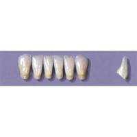 MYERSON ANTERIORS #14/58 (1x6 CARD) Card