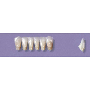 MYERSON ANTERIORS #3/60 (1x6 CARD) Card