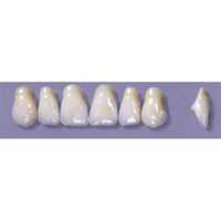 MYERSON ANTERIORS #A11/65 (1x6CARD) Card