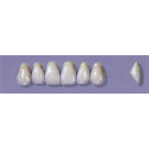 MYERSON ANTERIORS #A2/G (1X6 CARD) Card