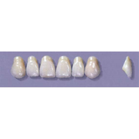 MYERSON ANTERIORS #A43/E (1x6 CARD) Card