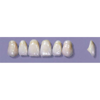 MYERSON ANTERIORS #A44/69 (1x6CARD) Card
