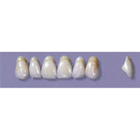 MYERSON ANTERIORS #A4/62 (1x6 CARD) Card