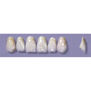 Myerson Anteriors #A11/70 (1 x 6 Card), Each