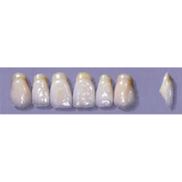 MYERSON ANTERIORS #A53/69 (1x6CARD) Card