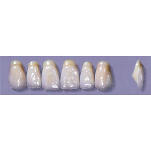 MYERSON ANTERIORS #A53/I (1x6 CARD) Card
