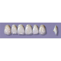 MYERSON ANTERIORS #A64/60 (1x6CARD) Card