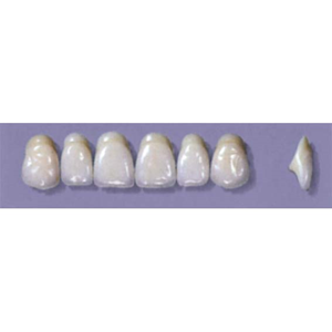 MYERSON ANTERIORS #A64/E (1x6 CARD) Card