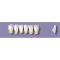 MYERSON ANTERIORS #A71/69 (1x6CARD) Card