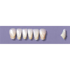MYERSON ANTERIORS #A71/I (1x6 CARD) Card