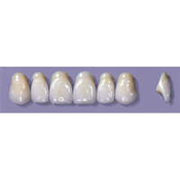 MYERSON ANTERIORS #A72/69 (1x6CARD) Card