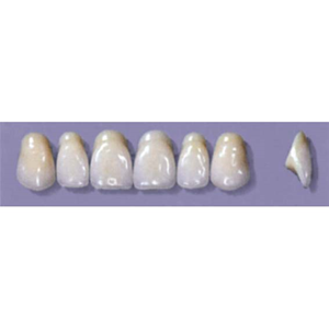 MYERSON ANTERIORS #A72/73 (1x6CARD) Card