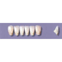 MYERSON ANTERIORS #A73/C (1x6 CARD) Card