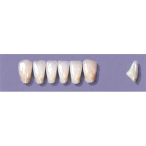 MYERSON ANTERIORS #A73/G (1x6 CARD) Card