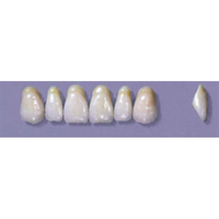 MYERSON ANTERIORS #A7/73 (1x6 CARD) Card