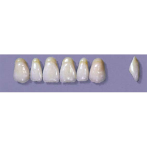 MYERSON ANTERIORS #A7/F (1x6 CARD) Card