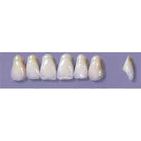MYERSON ANTERIORS #A9/E (1x6 CARD) Card