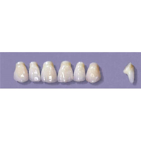 MYERSON ANTERIORS #PM2/G (1x6 CARD) Card