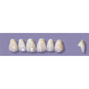 MYERSON ANTERIORS #PM2/I (1x6 CARD) Card