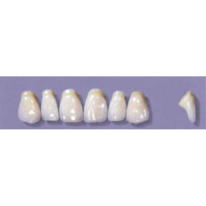 MYERSON ANTERIORS #PM4/C (1x6 CARD) Card