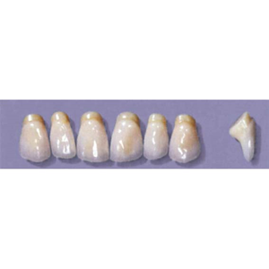 MYERSON ANTERIORS #PM6/70 (1x6CARD) Card