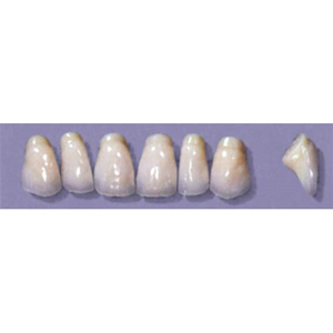 MYERSON ANTERIORS #PM8/70 (1x6CARD) Card